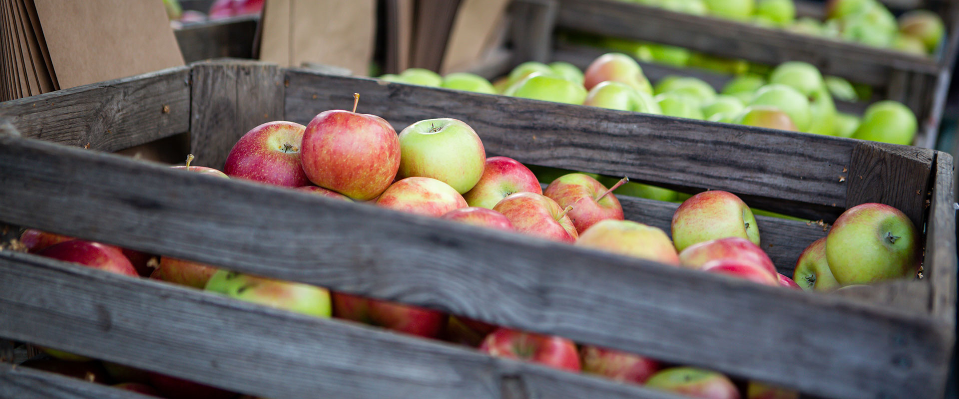 Äpfel vom Obsthof in Friedberg