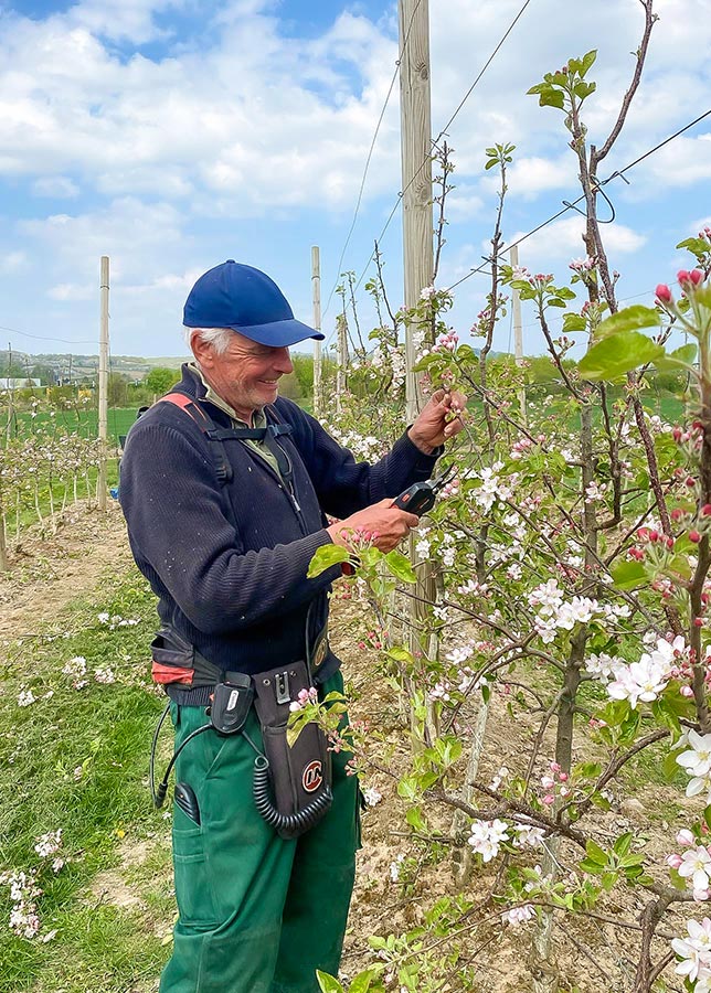 Jörg, auf der Apfelplantage